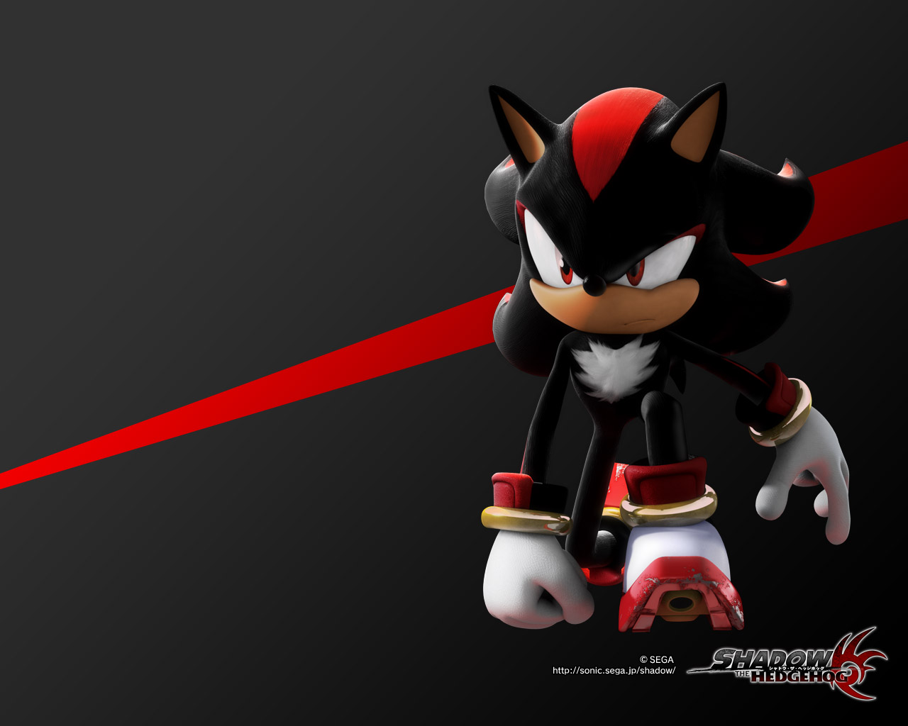 A HISTÓRIA DE SHADOW THE HEDGEHOG! 