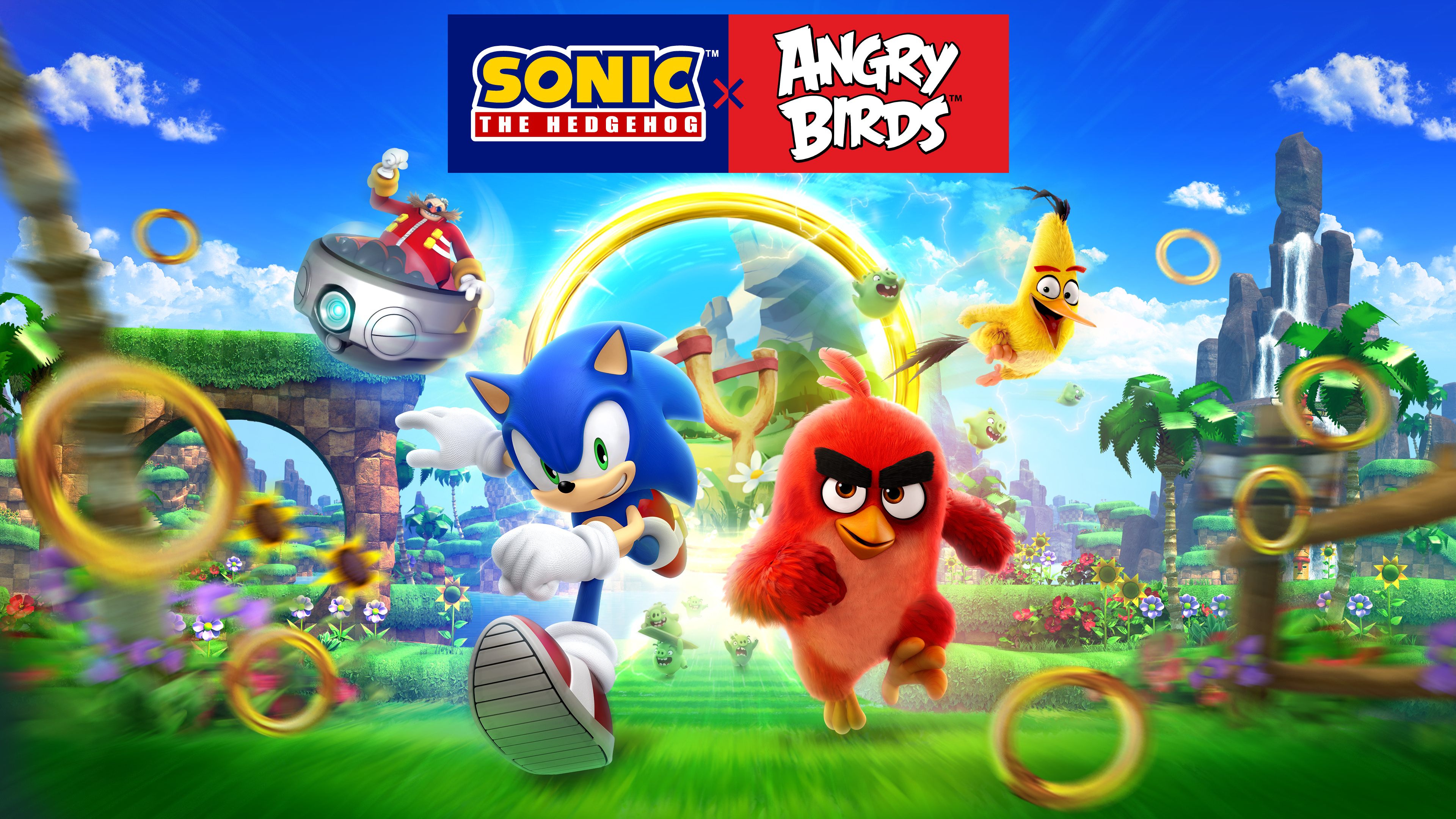 Sonic & Angry Birds Crossover Event Announced